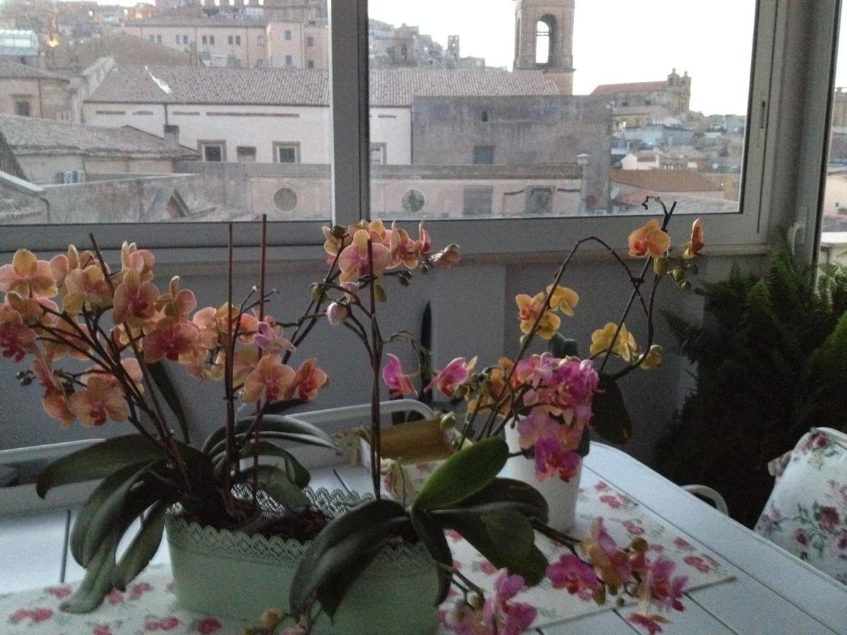 Attico Da Rosa Con Vista Spettacolare A 360 Gradi Apartamento Caltagirone Exterior foto